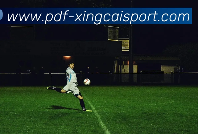 杏彩体育平台生态图